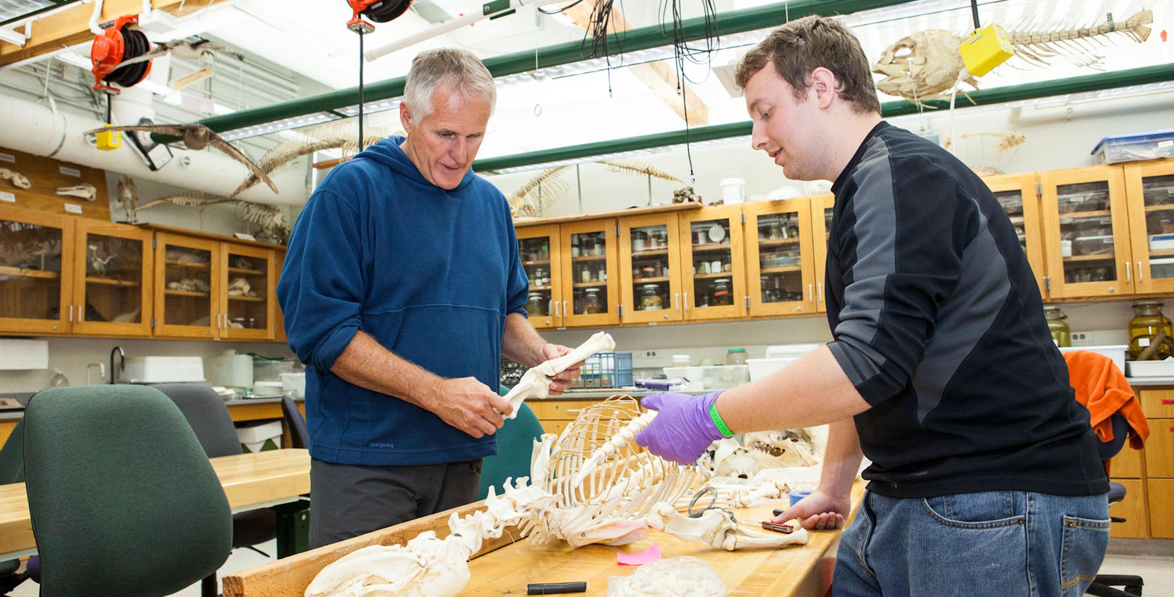 MLML脊椎动物生态学实验室的指导老师，吉姆·哈维和学生.
